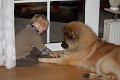 boji und thies (7)